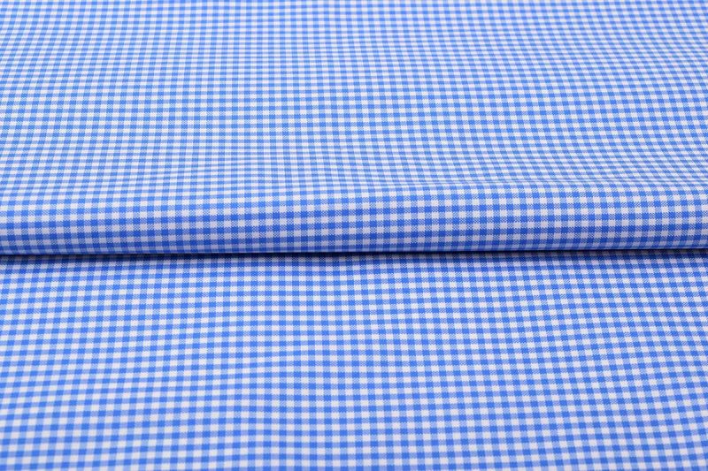 Blue Mini Checks Shirt 120117 (1)