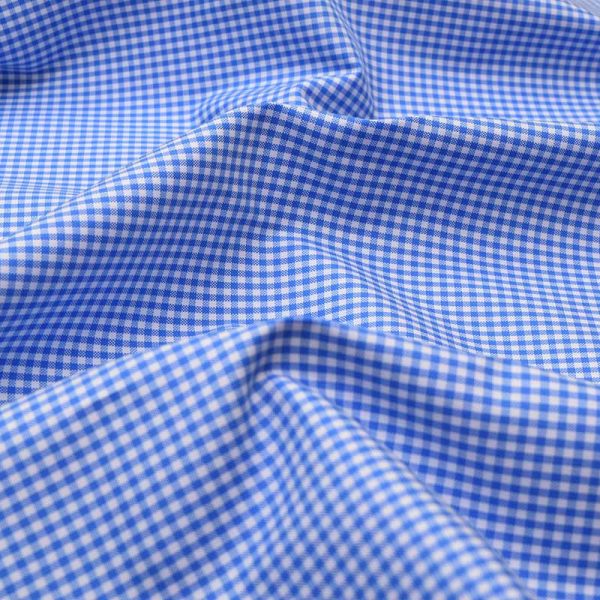 Blue Mini Checks Shirt 120117 (3)